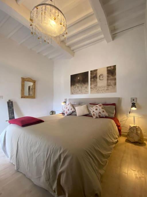 皮蒂利亚诺La Sorpresa Sul Bastione With Panoramic Balcony公寓 外观 照片