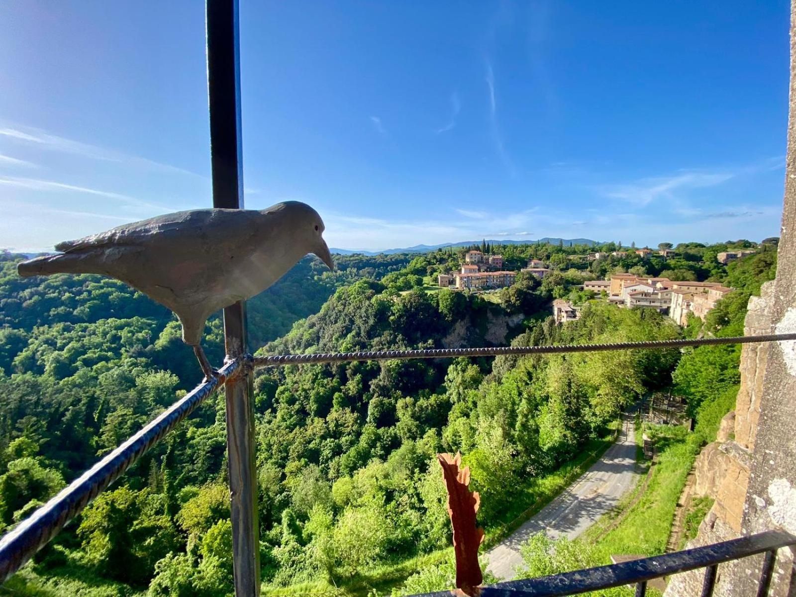 皮蒂利亚诺La Sorpresa Sul Bastione With Panoramic Balcony公寓 外观 照片